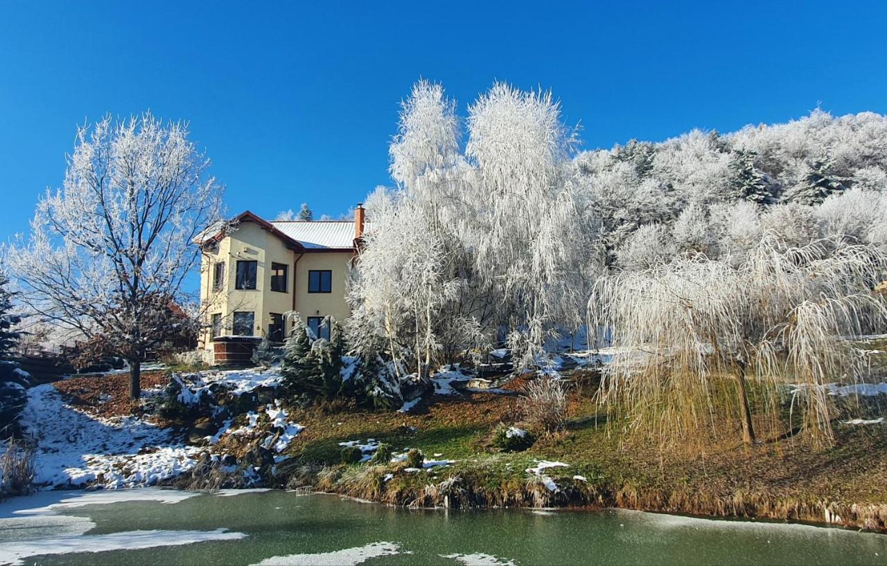 Trovanti Apartment Feleacu Экстерьер фото