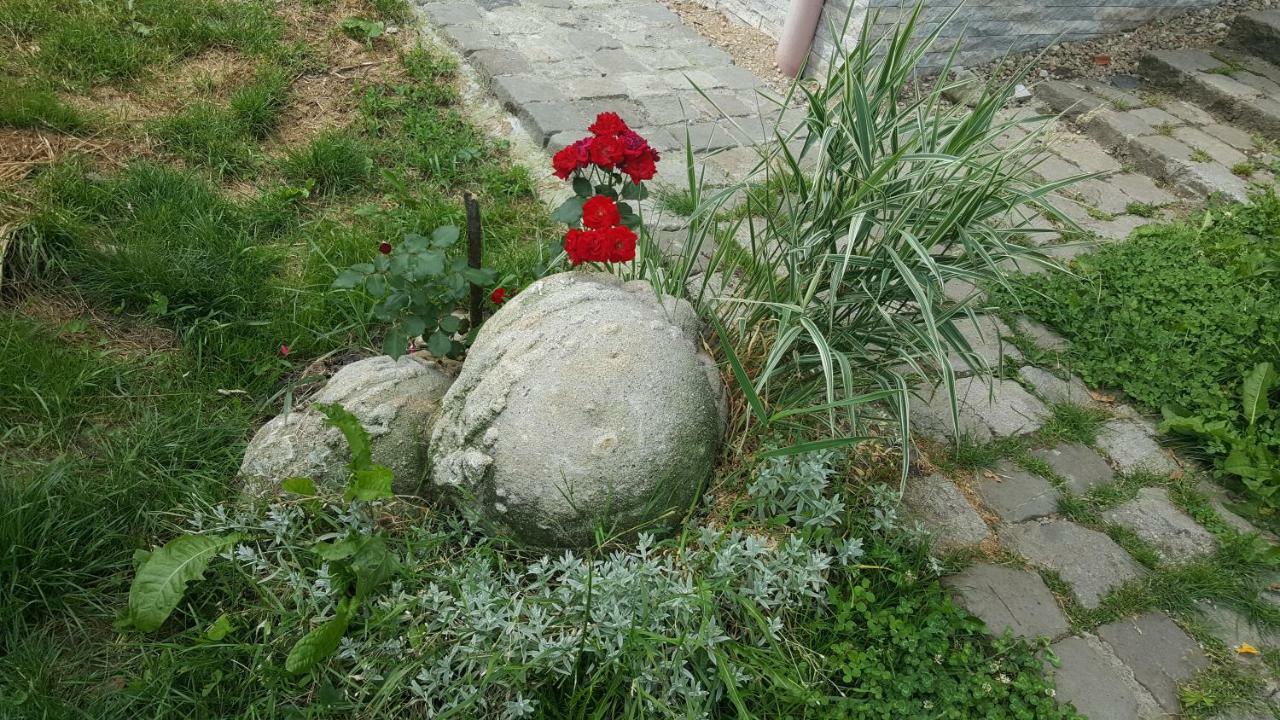 Trovanti Apartment Feleacu Экстерьер фото